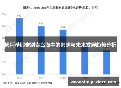 博阿基耶告别青岛海牛的影响与未来发展趋势分析 博阿基耶告别青岛海牛的影响与未来发展趋势分析