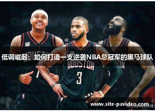 /uploads/images/20250709/di-diao-jue-qi-ru-he-da-zao-yi-zhi-ni-xi-nba-zong-guan-jun-de-hei-ma-qiu-dui.webp