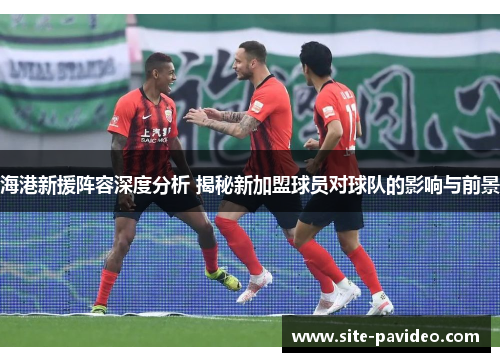 海港新援阵容深度分析 揭秘新加盟球员对球队的影响与前景 海港新援阵容深度分析 揭秘新加盟球员对球队的影响与前景