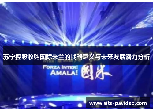 苏宁控股收购国际米兰的战略意义与未来发展潜力分析 苏宁控股收购国际米兰的战略意义与未来发展潜力分析