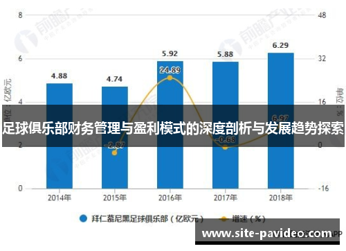 足球俱乐部财务管理与盈利模式的深度剖析与发展趋势探索