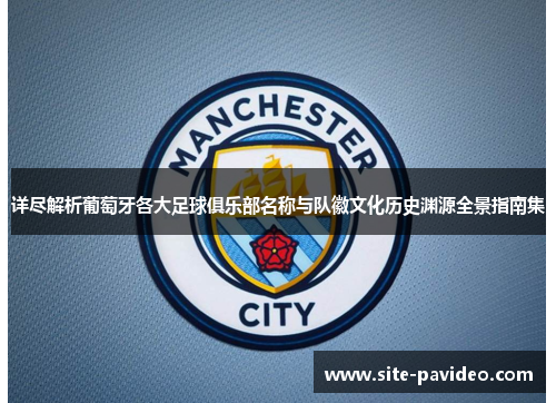 详尽解析葡萄牙各大足球俱乐部名称与队徽文化历史渊源全景指南集 详尽解析葡萄牙各大足球俱乐部名称与队徽文化历史渊源全景指南集