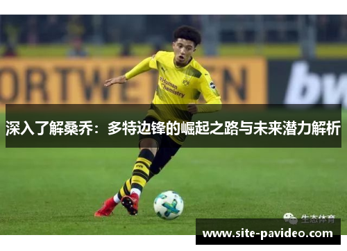 深入了解桑乔：多特边锋的崛起之路与未来潜力解析