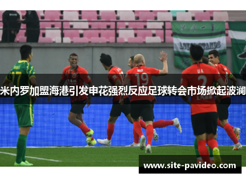 米内罗加盟海港引发申花强烈反应足球转会市场掀起波澜